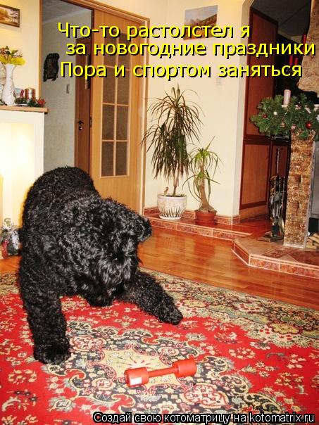 Котоматрица: Что-то растолстел я за новогодние праздники . Пора и спортом заняться  Что-то растолстел я   за новогодние праздники .  Пора и спортом занятьс