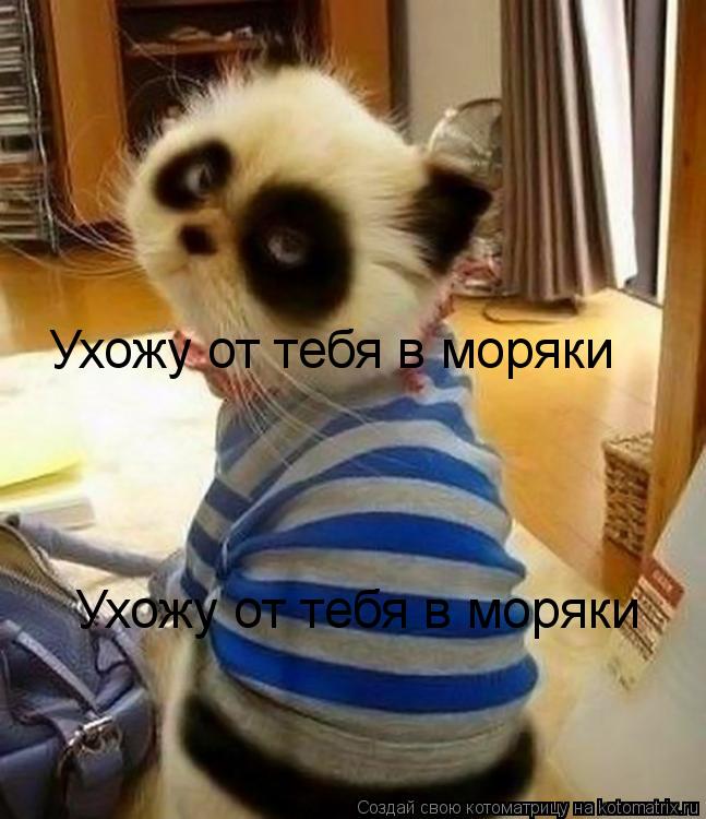 Котоматрица: Ухожу от тебя в моряки Ухожу от тебя в моряки