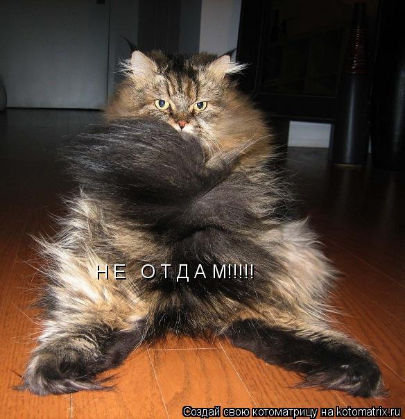 Котоматрица: Н Е   О Т Д А М!!!!!