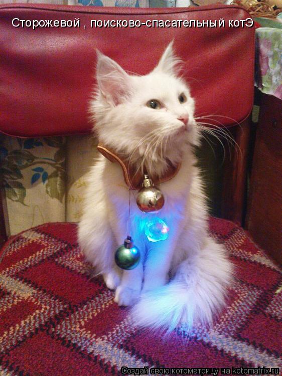 Котоматрица: Сторожевой , поисково-спасательный котЭ