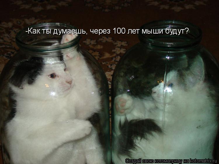 Котоматрица: -Как ты думаешь, через 100 лет мыши будут?