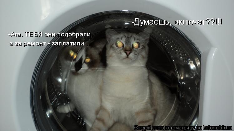Котоматрица: -Думаешь, включат??!!! -Ага. ТЕБЯ они подобрали, а за ремонт - заплатили...