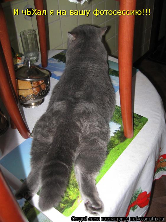 Котоматрица: И чЬХал я на вашу фотосессию!!!