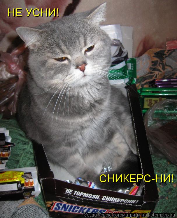 Котоматрица: НЕ УСНИ! СНИКЕРС-НИ!