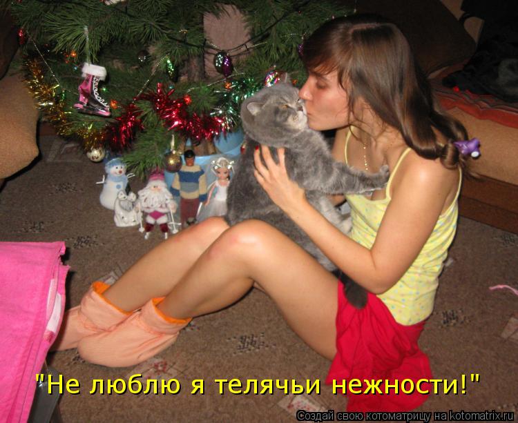 Котоматрица: "Не люблю я телячьи нежности!"