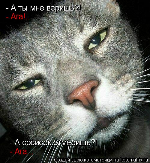 Котоматрица: - А ты мне веришь?! - Ага!.. - А сосисок отмеришь?! - Ага...