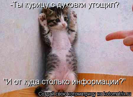 Котоматрица: -Ты курицу с духовки утощил? "И от куда столько информации?"