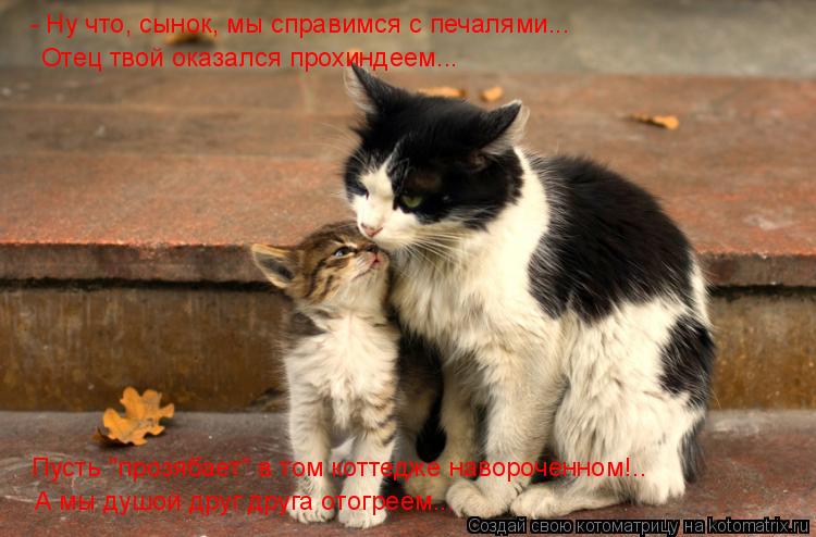 Котоматрица: - Ну что, сынок, мы справимся с печалями... Отец твой оказался прохиндеем... Пусть "прозябает" в том коттедже навороченном!.. А мы душой друг дру
