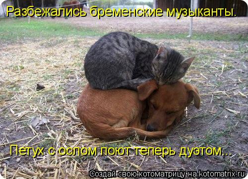 Котоматрица: Разбежались бременские музыканты. Петух с ослом поют теперь дуэтом...