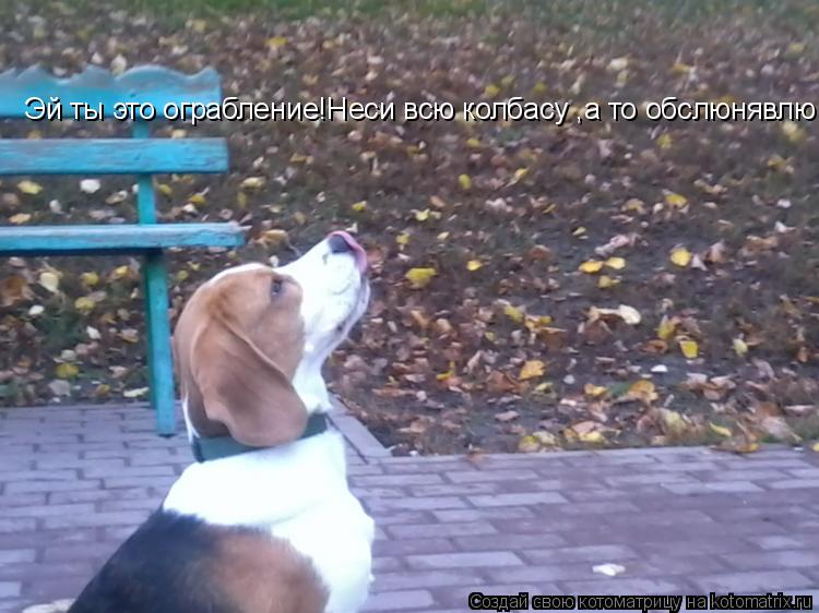 Котоматрица: Эй ты это ограбление!Неси всю колбасу ,а то обслюнявлю!!!