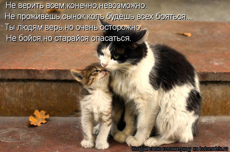 Не верить всем,конечно,невозможно. Не проживёшь,сынок,коль будешь всех бояться... Ты людям верь,но оч... Котоматрица: Не верить всем,конечно,невозможно. Не проживёшь,сынок,коль будешь всех бояться... Ты людям верь,но очень осторожно: Не бойся,но старайся опас