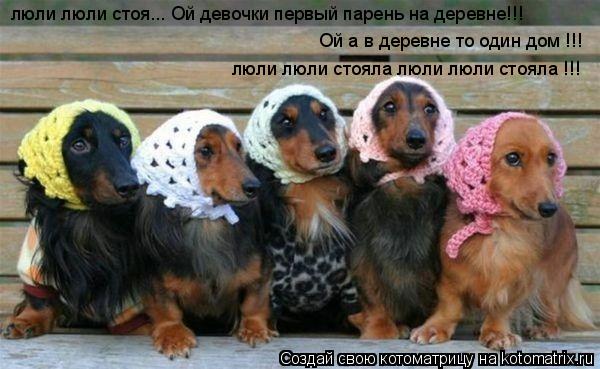 Котоматрица: люли люли стоя... Ой девочки первый парень на деревне!!! Ой а в деревне то один дом !!! люли люли стояла люли люли стояла !!!