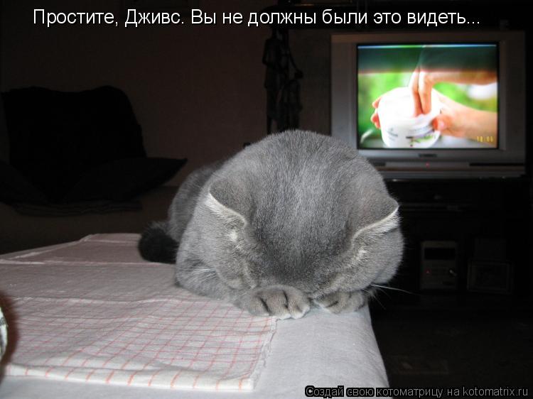 Котоматрица: Простите, Дживс. Вы не должны были это видеть...