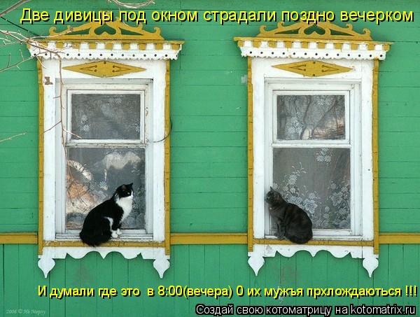 Котоматрица: Две дивицы под окном страдали поздно вечерком И думали где это  в 8:00(вечера) 0 их мужъя прхлождаються !!!
