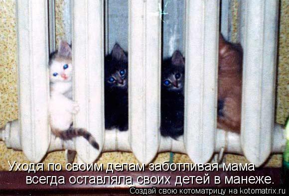 Уходя по своим делам заботливая мама всегда оставляла своих детей в манеже.... Котоматрица: Уходя по своим делам заботливая мама всегда оставляла своих детей в манеже.