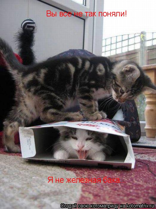 Котоматрица: Вы все не так поняли! Я не железная бака...