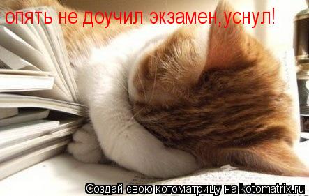 опять не доучил экзамен,уснул!... Котоматрица: опять не доучил экзамен,уснул!