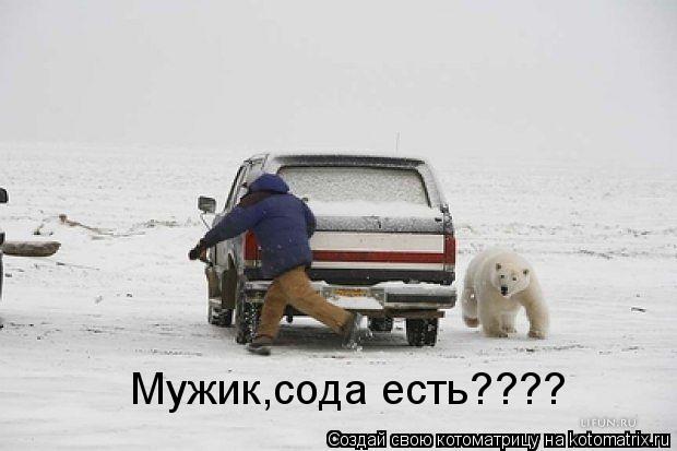 Мужик,сода есть????... Котоматрица: Мужик,сода есть????