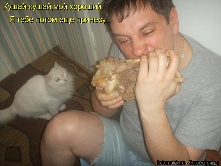 Кушай-кушай,мой хороший Я тебе потом еще принесу...... Котоматрица: Кушай-кушай,мой хороший Я тебе потом еще принесу...
