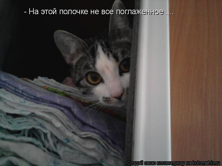 - На этой полочке не все поглаженное ....... Котоматрица: - На этой полочке не все поглаженное ....