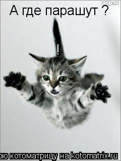 А где парашут ? !... Котоматрица: А где парашут ? !