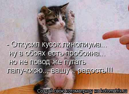 - Откусил кусок линолиума... ну в обоях есть пробоина... но не повод же пугать лапу-кисю... вашу .. р... Котоматрица: - Откусил кусок линолиума... ну в обоях есть пробоина... но не повод же пугать лапу-кисю... вашу .. радость!!!