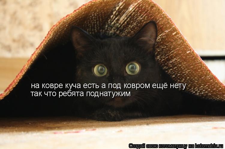 на ковре куча есть а под ковром ещё нету так что ребята поднатужим... Котоматрица: на ковре куча есть а под ковром ещё нету так что ребята поднатужим