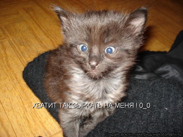 ХВАТИТ ТАК ЗЫРКАТЬ НА МЕНЯ ! 0_0... Котоматрица: ХВАТИТ ТАК ЗЫРКАТЬ НА МЕНЯ ! 0_0