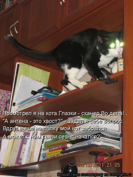 Посмотрел я на кота.Глазки - сканер.Во дела!... "А антена - это хвост?" - задал я себе вопрос. Вдруг ... Котоматрица: Посмотрел я на кота.Глазки - сканер.Во дела!... "А антена - это хвост?" - задал я себе вопрос. Вдруг выше на полку мой кот забрался. А может с ним с