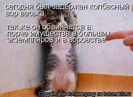 сегодня был задержан колбасный вор васька так же он обвиняется в: порче имущества в больших экземпляр... Котоматрица: сегодня был задержан колбасный вор васька так же он обвиняется в: порче имущества в больших экземпляров и в воровстве