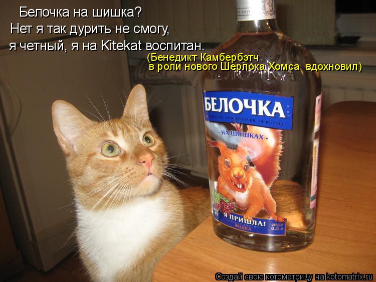 Белочка на шишка? Нет я так дурить не смогу, я четный, я на Kitekat воспитан. в роли нового Шерлока... Котоматрица: Белочка на шишка? Нет я так дурить не смогу, я четный, я на Kitekat воспитан. в роли нового Шерлока Хомса вдохновил) (Бенедикт Камбербэтч