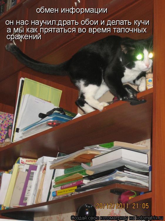 обмен информации он нас научил:драть обои и делать кучи а мы как прятаться во время тапочных сражени... Котоматрица: обмен информации он нас научил:драть обои и делать кучи а мы как прятаться во время тапочных сражений