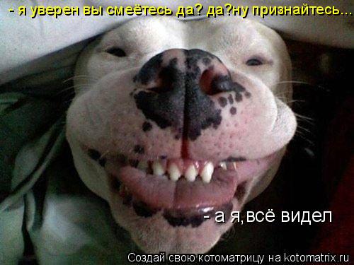 - а я,всё видел - я уверен вы смеётесь да? да?ну признайтесь...... Котоматрица: - а я,всё видел - я уверен вы смеётесь да? да?ну признайтесь...