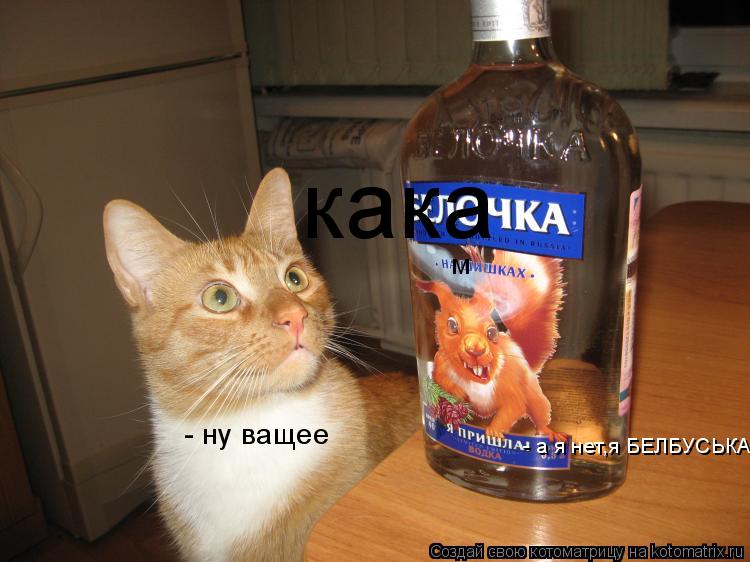 - а я нет,я БЕЛБУСЬКА кака м - ну ващее... Котоматрица: - а я нет,я БЕЛБУСЬКА кака м - ну ващее