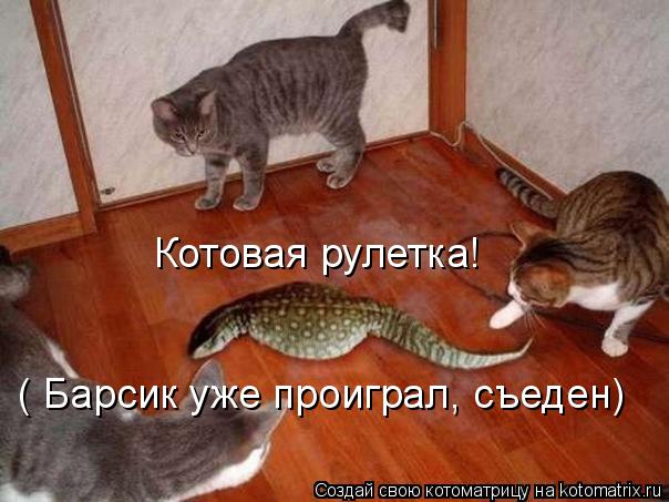 Котовая рулетка! ( Барсик уже проиграл, съеден)... Котоматрица: Котовая рулетка! ( Барсик уже проиграл, съеден)