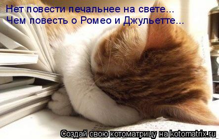 Нет повести печальнее на свете... Чем повесть о Ромео и Джульетте...... Котоматрица: Нет повести печальнее на свете... Чем повесть о Ромео и Джульетте...