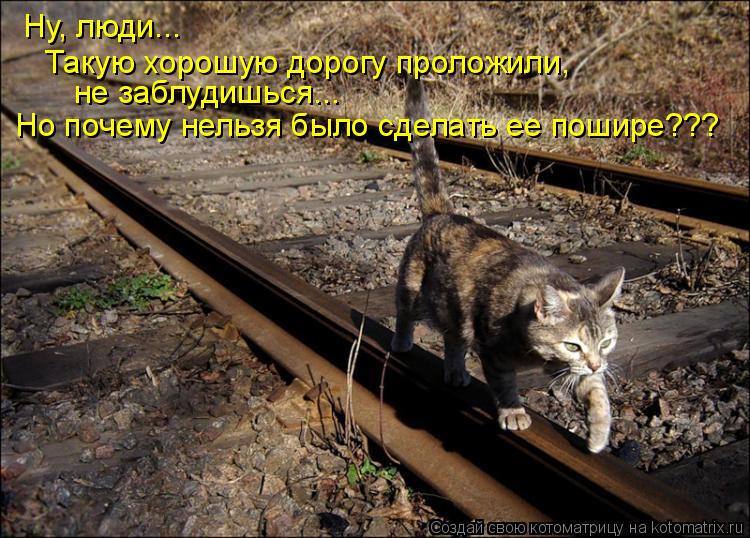 Ну, люди... Такую хорошую дорогу проложили, не заблудишься... Но почему нельзя было сделать ее пошире... Котоматрица: Ну, люди... Такую хорошую дорогу проложили, не заблудишься... Но почему нельзя было сделать ее пошире???