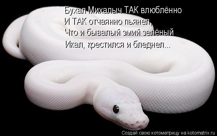 Бухал Михалыч ТАК влюблённо И ТАК отчаянно пьянел, Что и бывалый змий зелёный Икал, крестился и блед... Котоматрица: Бухал Михалыч ТАК влюблённо И ТАК отчаянно пьянел, Что и бывалый змий зелёный Икал, крестился и бледнел...