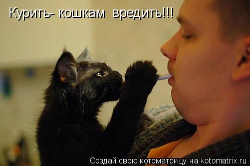 Котоматрица: Курить- кошкам  вредить!!!