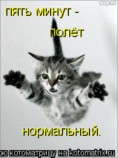 Котоматрица: пять минут -  полёт нормальный.