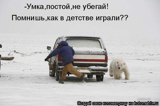 Котоматрица: -Умка,постой,не убегай! Помнишь,как в детстве играли??
