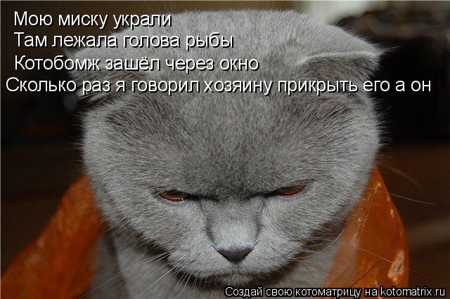 Котоматрица: Мою миску украли Там лежала голова рыбы Котобомж зашёл через окно Сколько раз я говорил хозяину прикрыть его а он