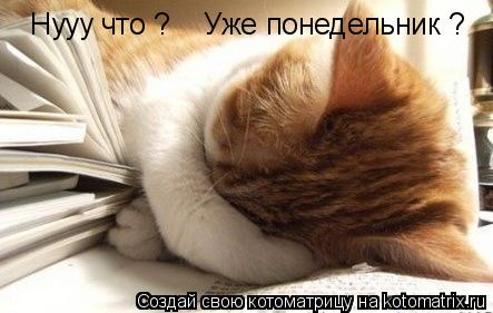 Котоматрица: Нууу что ? Уже понедельник ?
