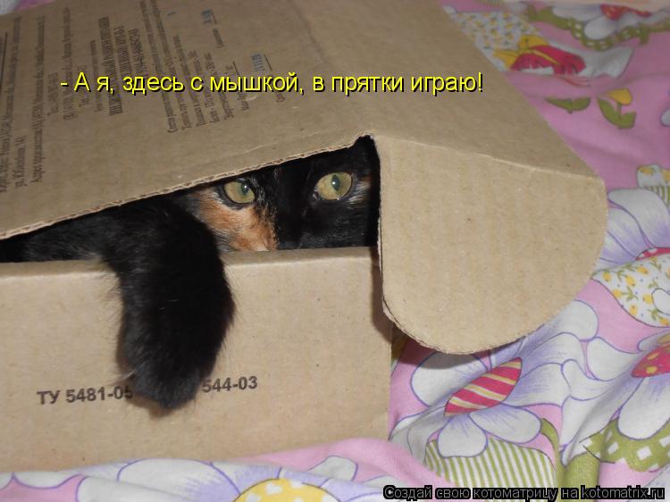 Котоматрица: - А я, здесь с мышкой, в прятки играю!