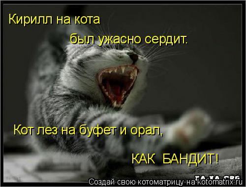 Котоматрица: Кирилл на кота  был ужасно сердит. Кот лез на буфет и орал, КАК  БАНДИТ!