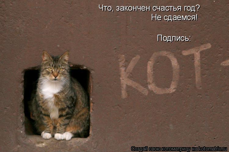 Что, закончен счастья год? Не сдаемся! Подпись:... Котоматрица: Что, закончен счастья год? Не сдаемся! Подпись: