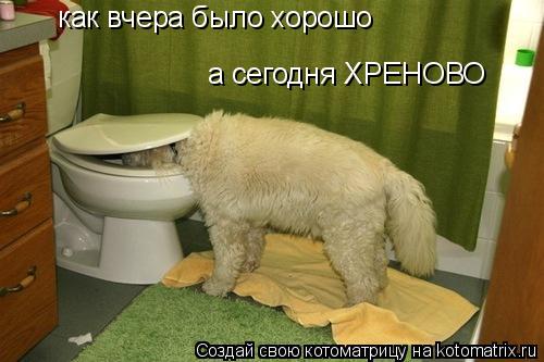 Котоматрица: как вчера было хорошо а сегодня ХРЕНОВО