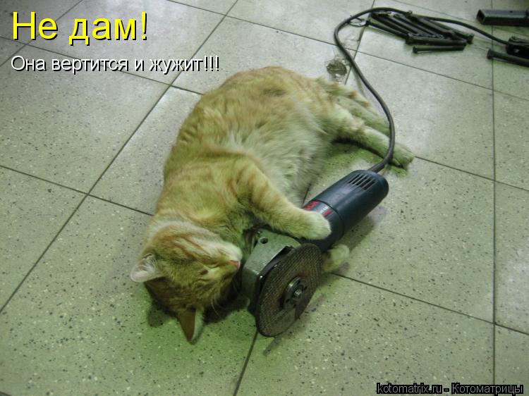 Котоматрица: Не дам! Она вертится и жужит!!!