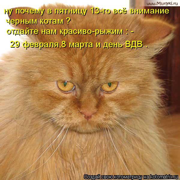 ну почему в пятницу 13-го всё внимание черным котам ? отдайте нам красиво-рыжим : - 29 февраля,8 м... Котоматрица: ну почему в пятницу 13-го всё внимание черным котам ? отдайте нам красиво-рыжим : - 29 февраля,8 марта и день ВДВ .