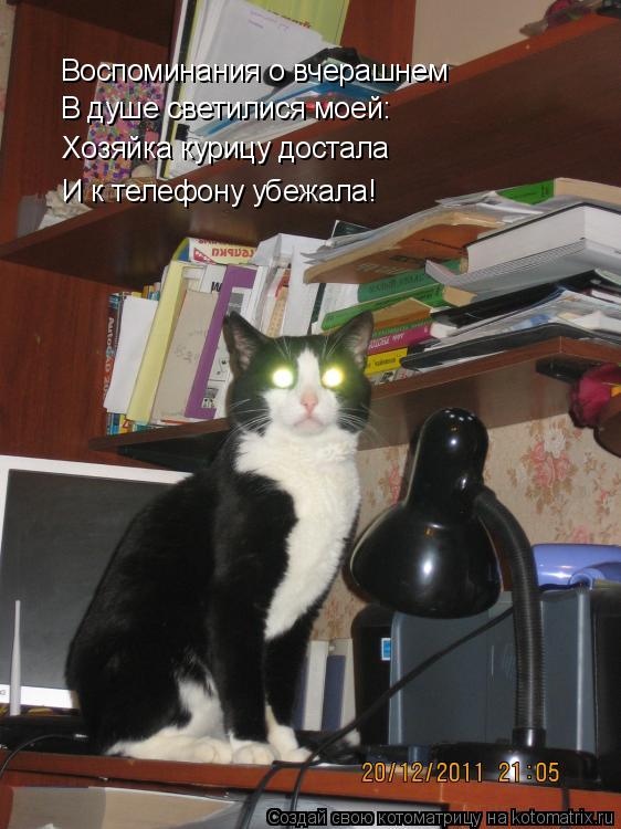Котоматрица: Воспоминания о вчерашнем В душе светилися моей: Хозяйка курицу достала И к телефону убежала!